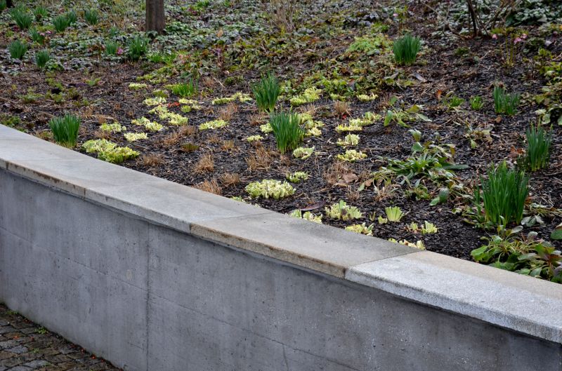 Retaining Wall Replacement